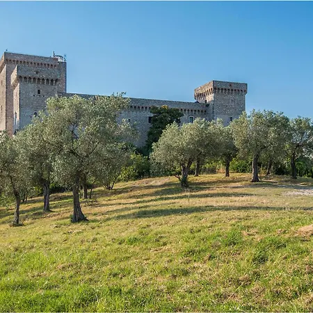 Pet Friendly In Stroncone Terni Tr *